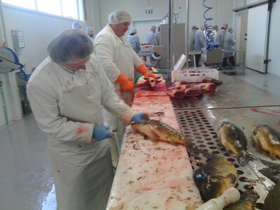 Zaposleno je 15 osoba