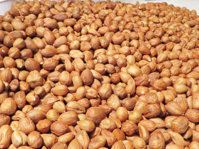 I Tea pomaže i uči o lješnjacima od malih nogu I Tea pomaže i uči o lješnjacima od malih nogu