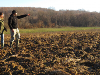 Zemlja poorana za novi nasad Zemlja poorana za novi nasad