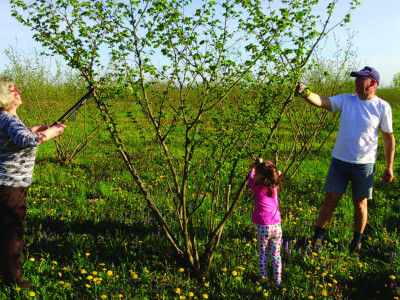 Vesni i Juraju Ribariću pomaže i unuka Vesni i Juraju Ribariću pomaže i unuka
