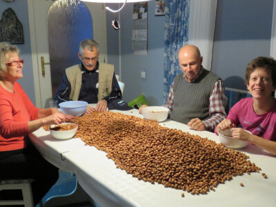 Priprema lješnjaka za prodaju Priprema lješnjaka za prodaju