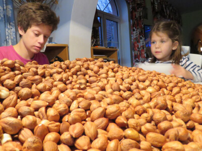 Renata i Tea Renata i Tea