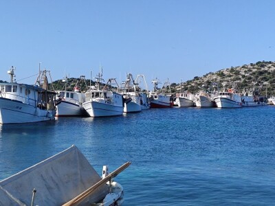 Ribarska zadruga Adria