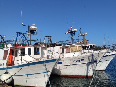 Ribarska zadruga Adria