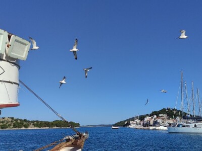 Ribarska zadruga Adria