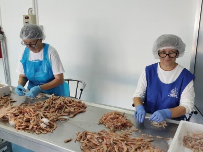 Ribarska zadruga Adria