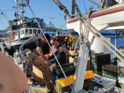 Ribarska zadruga Adria