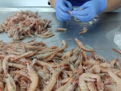 Ribarska zadruga Adria