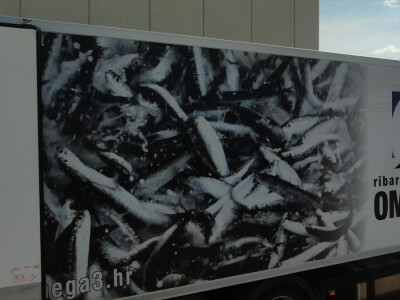 Ribarska zadruga Omega 3