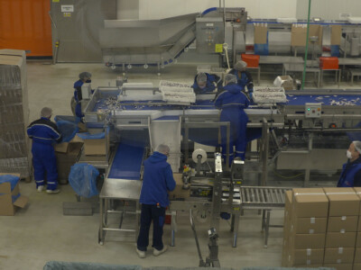 Ribarska zadruga Omega 3