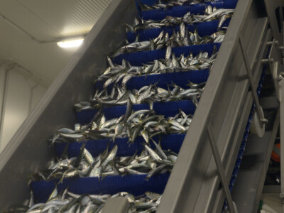 Ribarska zadruga Omega 3