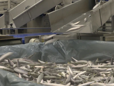 Ribarska zadruga Omega 3