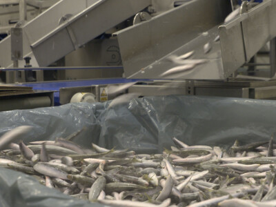 Ribarska zadruga Omega 3