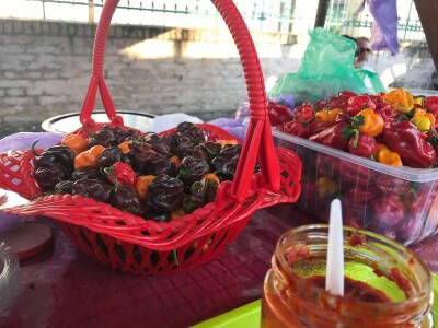 Ribarski dani Kopačevo