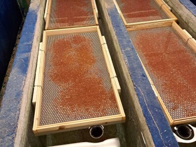 Riblja farma Forelle iz Jablanice