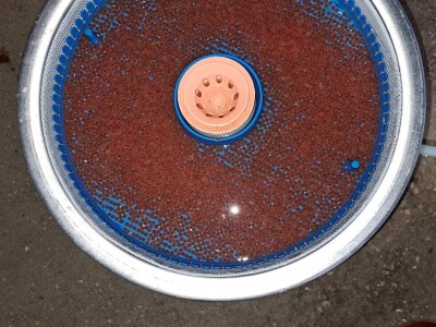 Riblja farma Forelle iz Jablanice