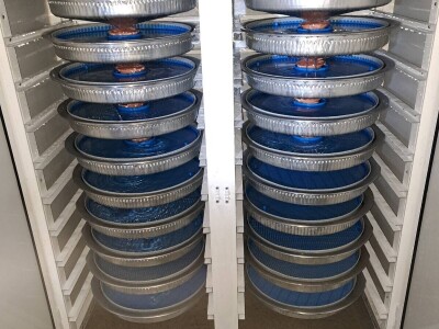 Riblja farma Forelle iz Jablanice