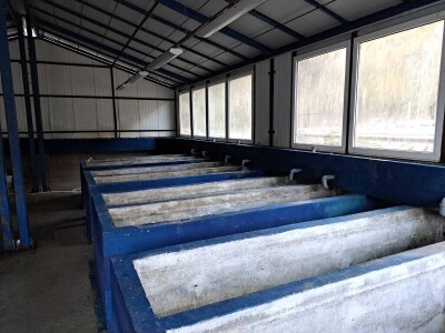 Riblja farma Forelle iz Jablanice