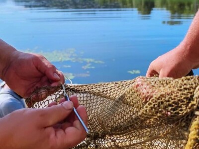 Ribnjačarstvo Končanica planira inovativnom tehnologijom očuvati vodu i uzgoj ribe
