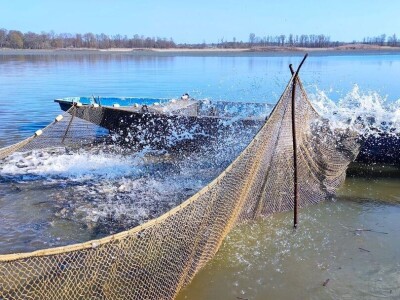 Ribnjačarstvo Končanica planira inovativnom tehnologijom očuvati vodu i uzgoj ribe