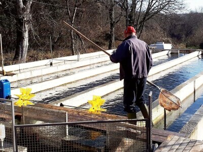 Ribnjak u vlasništvu petnaestočlane porodice