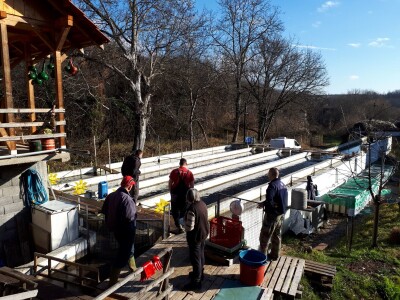 Ribnjak u vlasništvu petnaestočlane porodice