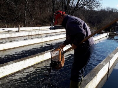 Ribnjak u vlasništvu petnaestočlane porodice