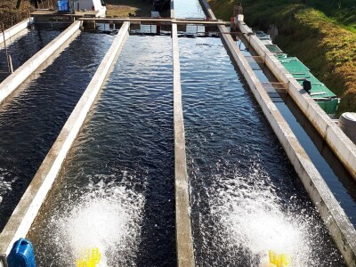 Ribnjak u vlasništvu petnaestočlane porodice