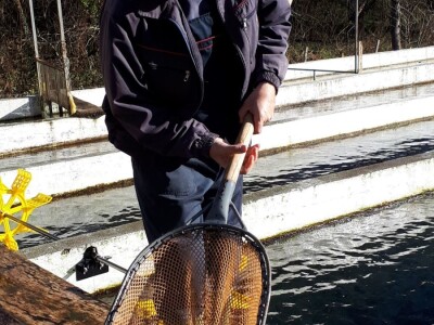 Ribnjak u vlasništvu petnaestočlane porodice