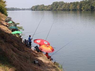 Ribolovačko i gastro takmičenje