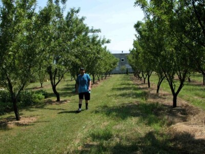 Rino Rančić na rekreacijskoj stazi kroz plantažni voćnjak Rino Rančić na rekreacijskoj stazi kroz plantažni voćnjak