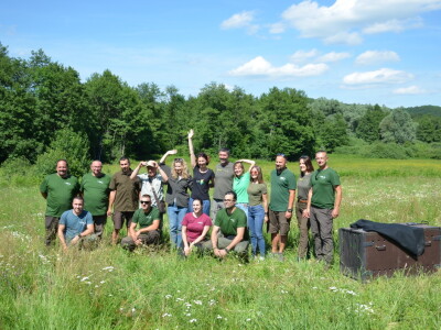 Ris Ljubo ispušten na Velebitu Ris Ljubo ispušten na Velebitu