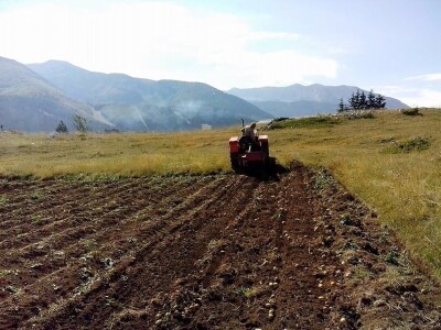 Uzgoj koza u Parku prirode Blidinje Uzgoj koza u Parku prirode Blidinje
