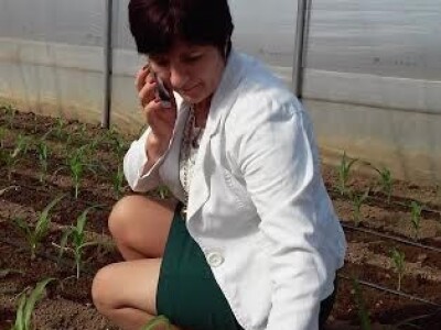 Stojanka Omerbašić