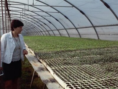 Upraviteljica PZ Rit