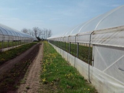 Poljoprivredna zadruga Rit