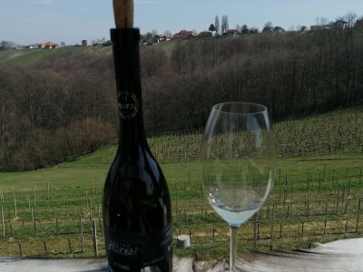 Robert Horvat novi je predsjednik Društva vinogradara i vinara  „Hortus Croatiae“