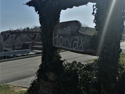 Robert Horvat novi je predsjednik Društva vinogradara i vinara  „Hortus Croatiae“