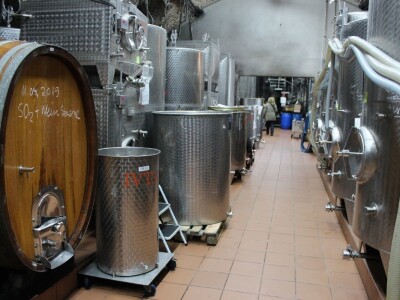 Robert Šatzle, vinarija Schloss Neuweier