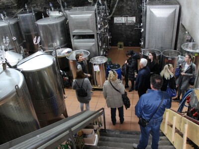 Robert Schätzle, vinarija Schloss Neuweier