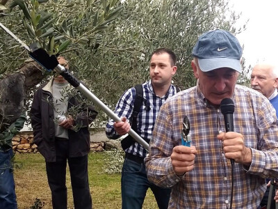 Entrada Labinprogres