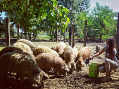 Roberta Kljenak na ranču Krivić