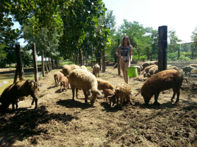 Roberta Kljenak na ranču Krivić
