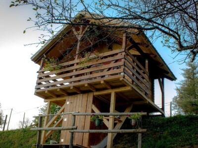 Robin's Hood Robin's Hood