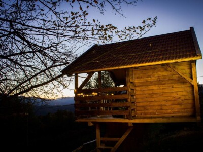 Robin's Hood Robin's Hood