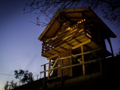 Robin's Hood Robin's Hood