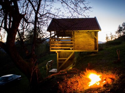 Robin's Hood Robin's Hood