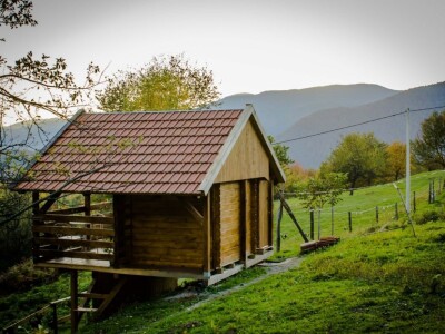 Robin's Hood Robin's Hood