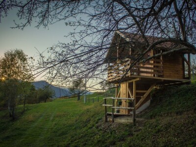 Robin's Hood Robin's Hood