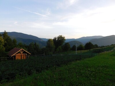 Robin's Hood Robin's Hood